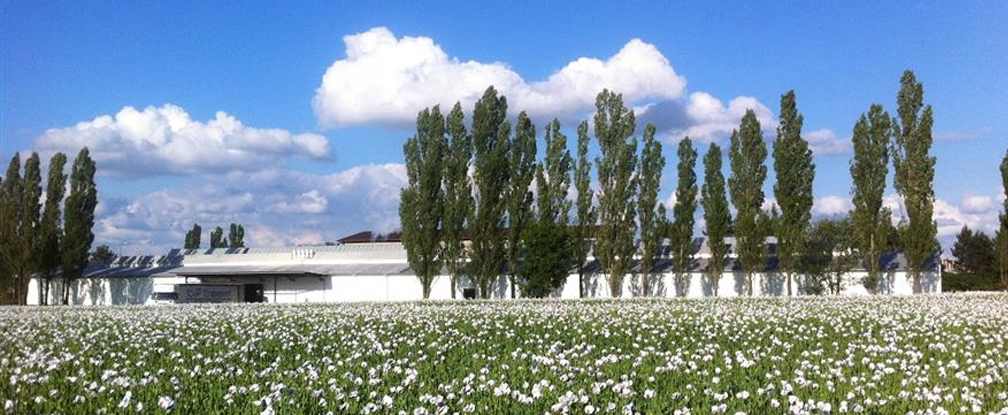 produzione di pellet